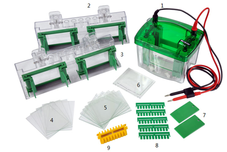 horizontal-and-vertical-electrophoresis-system