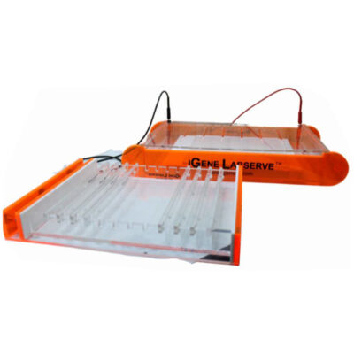 Horizontal-Gel-Electrophoresis