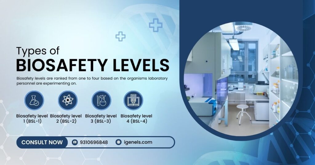 biosafety cabinet