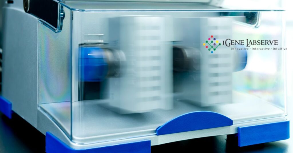 High Speed Tissue Homogenizer