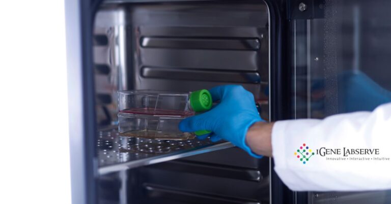 Make Cell Culture Easy With the Right CO2 Incubator - iGene Labserve