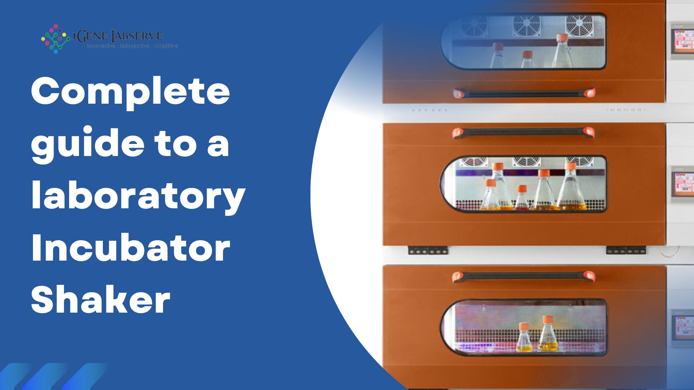 Complete guide to a laboratory Incubator Shaker