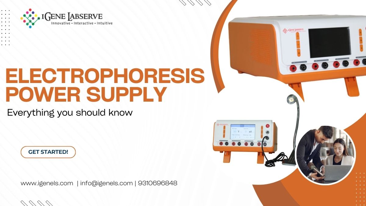 Everything You Need to Know About Electrophoresis Power Supply