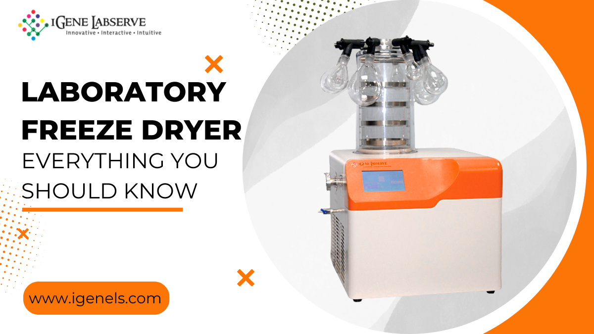 Everything You Need to Know About Laboratory Freeze Dryers