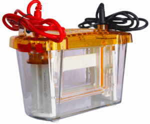 Gel Electrophoresis System in Modern Lab Applications