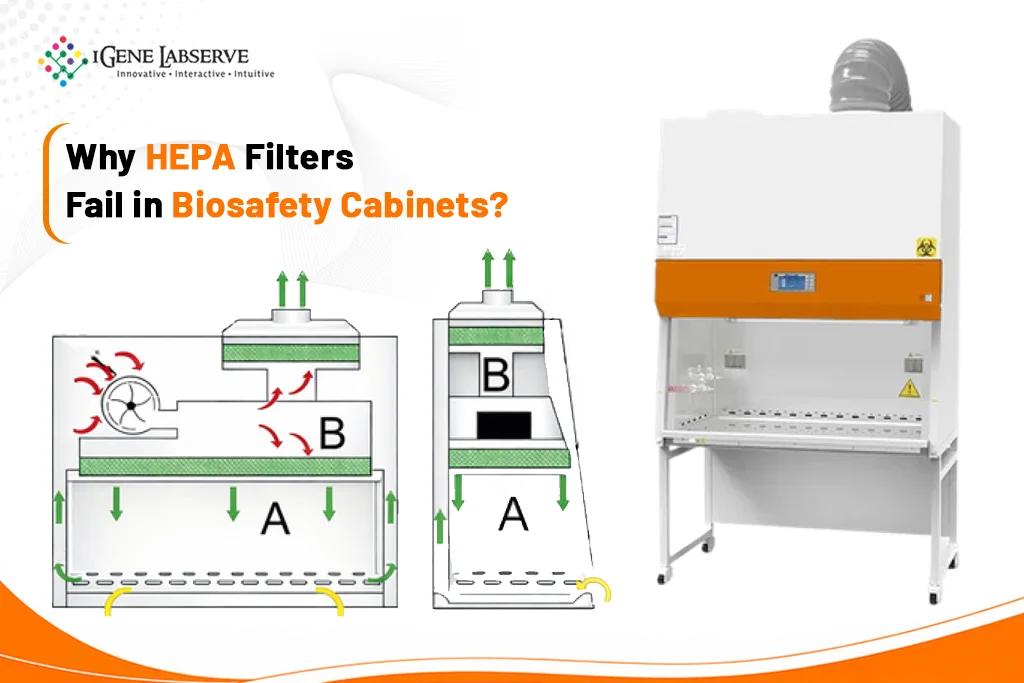 HEPA Filters